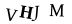 captcha-input